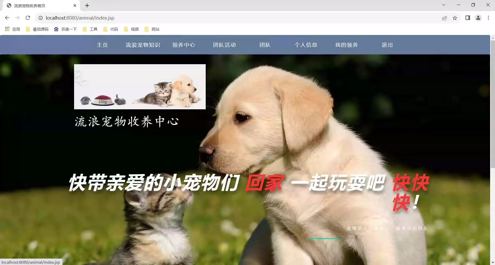 ssm宠物领养管理系统新版/宠物收养系统【包运行】