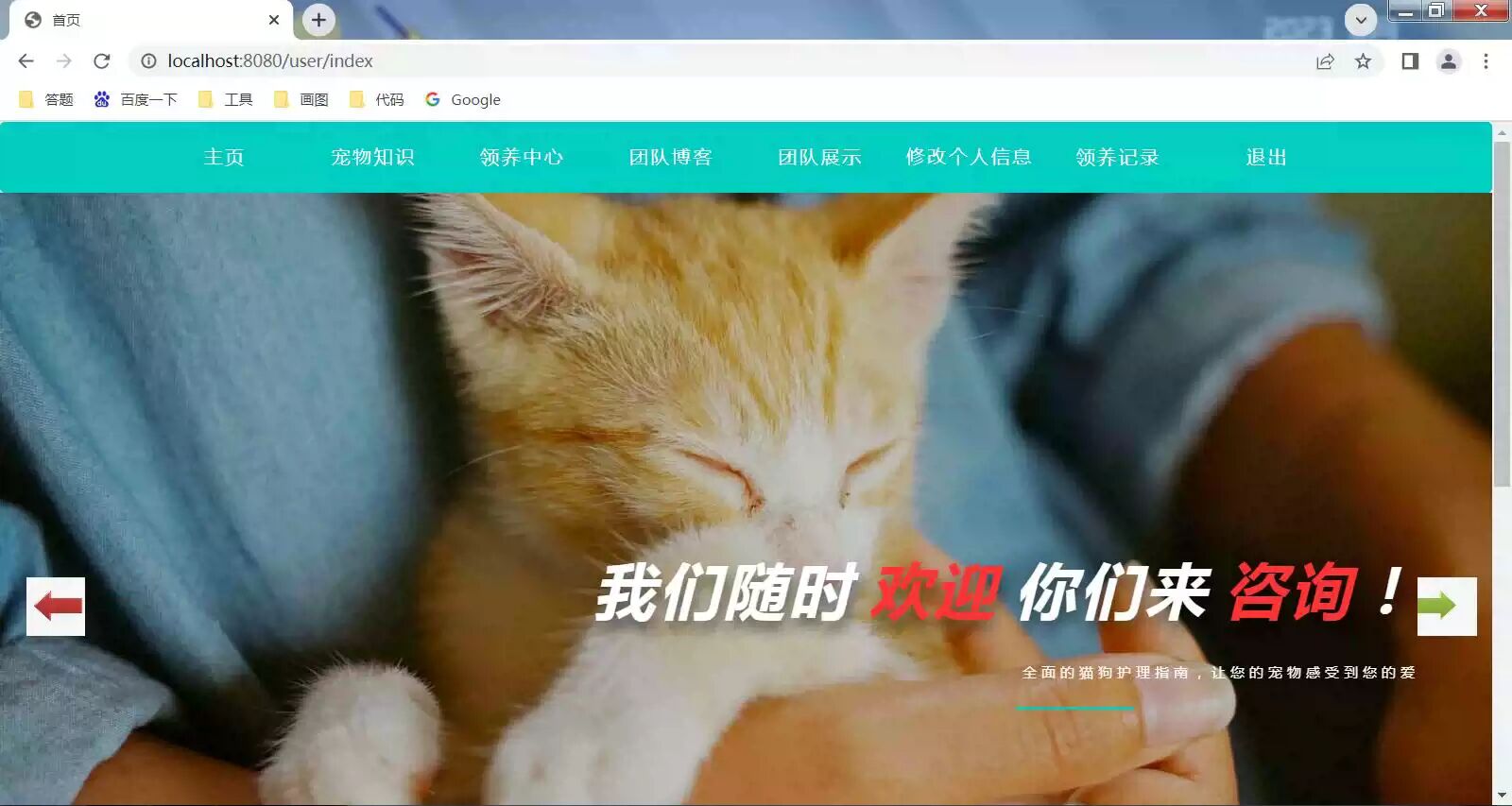 基于ssm宠物领养管理系统【包运行】